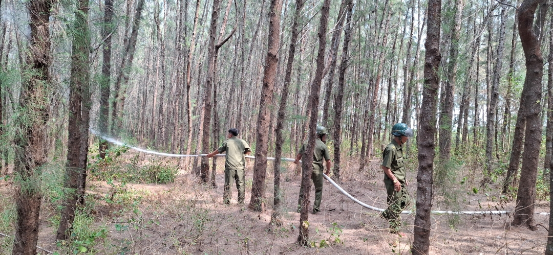 Chuyến kiểm tra đặc biệt tại 